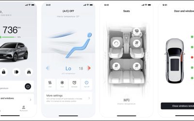 BYD App? Apa Aja Fungsinya?
